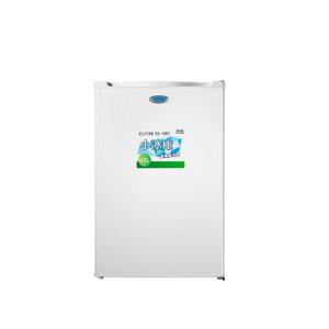 TECO 東元-95公升單門定頻直立式冷凍櫃(RL95SW) 【APP下單點數 加倍】