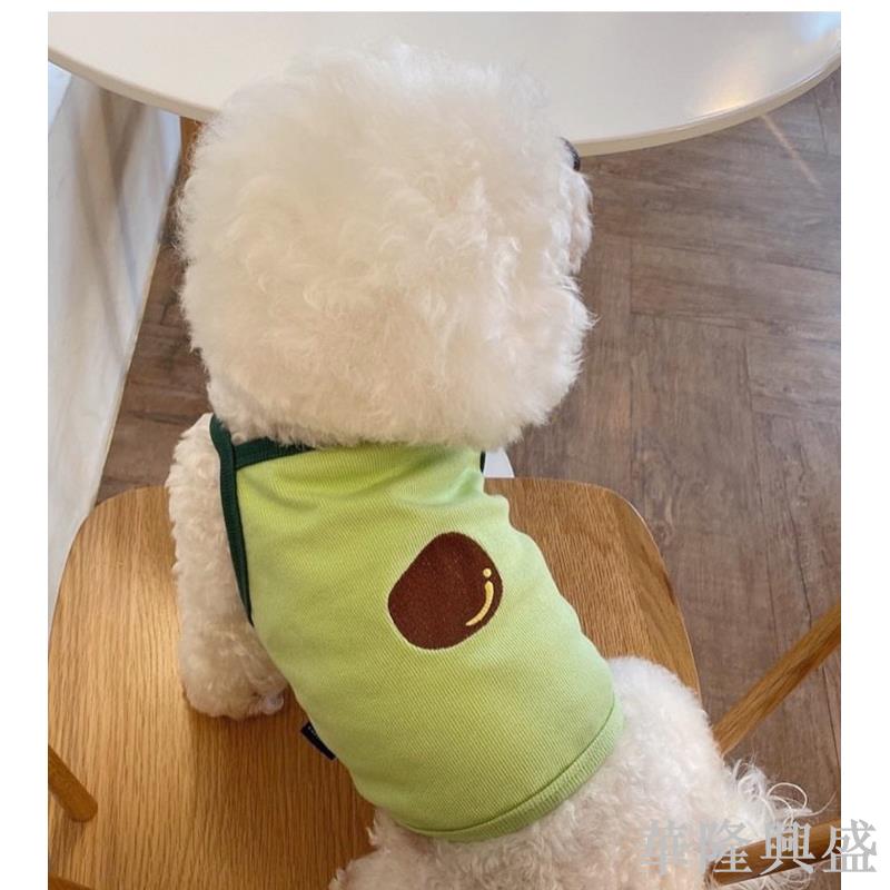 吊帶狗狗衣服薄款背心夏季泰迪小型幼犬比熊貓咪春秋裝