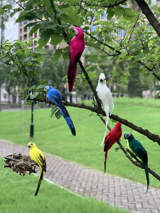 仿真動物鸚鵡樹上造景裝飾幼兒園戶外自然角擺件別墅庭院花園布置