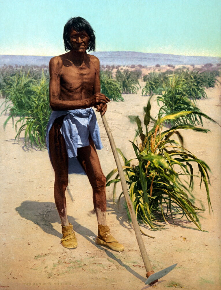 posterazzi-hopi-farmer-c1902-na-hopi-man-with-a-hoe-in-a-cornfield-in