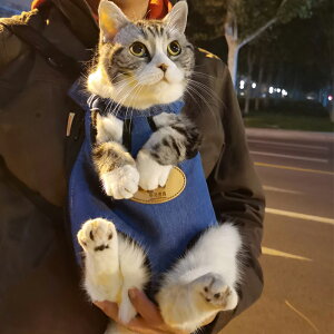 背帶貓包貓咪胸前包外帶背包神器便攜外出攜帶透氣背貓袋寵物出行