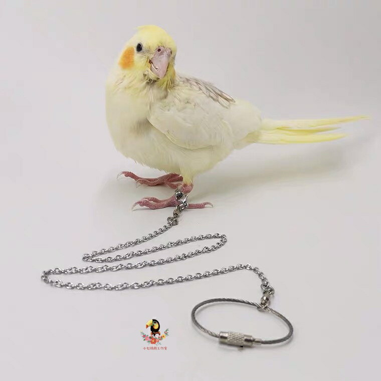 遛鳥繩 鸚鵡不鏽鋼腳鏈活釦鳥鏈子超輕防脫扣腳環玄風牡丹虎皮放飛繩遛鳥【MJ16823】