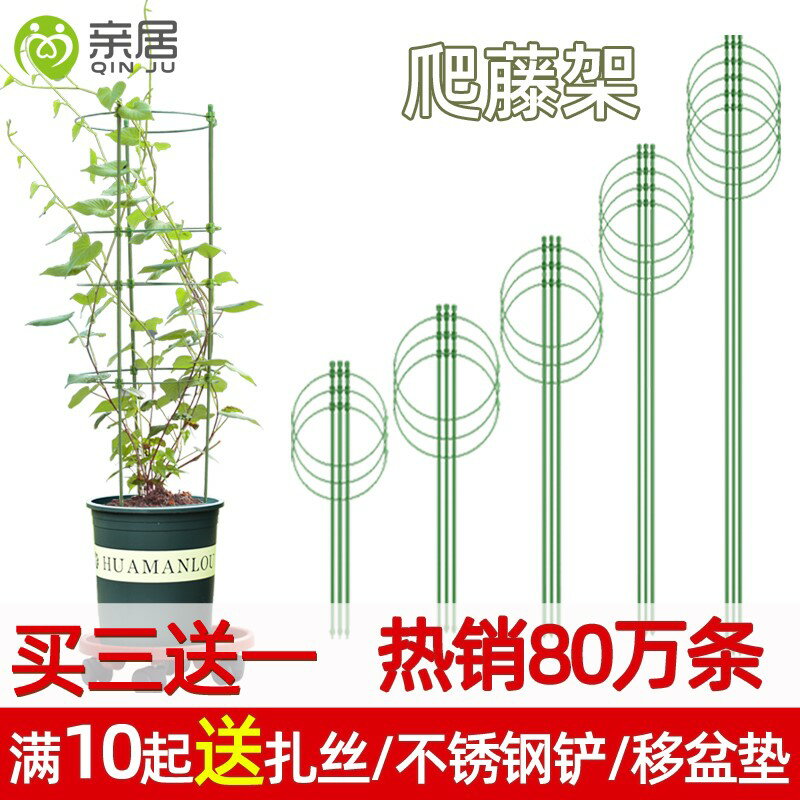 爬藤架子花支架月季花架植物盆室內花卉支撐桿園藝鐵線蓮攀爬