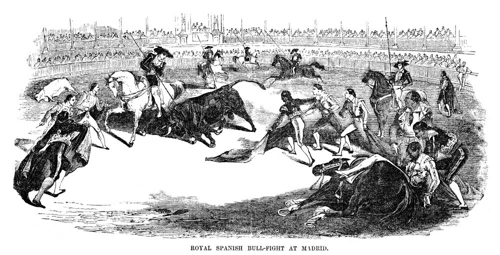 Posterazzi Spain Bullfighting 1856 NRoyal Spanish Bull 