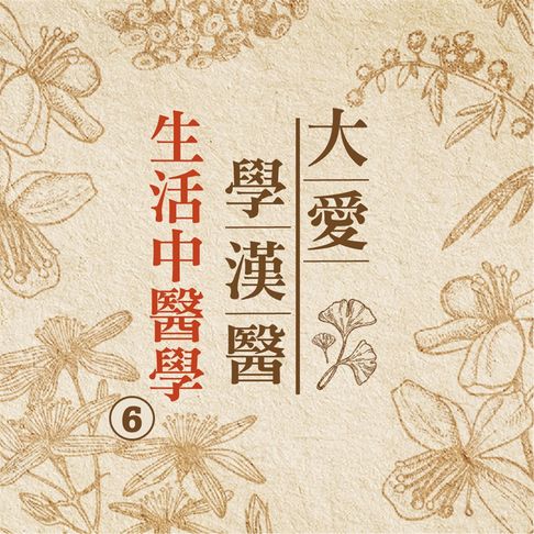 【有聲書】生活中醫學(大愛學漢醫)第6冊