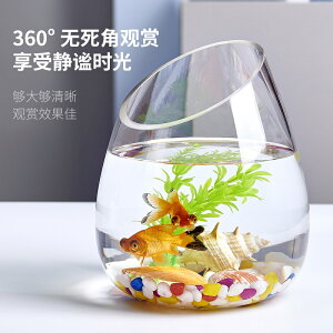 圓形玻璃斜口魚缸水培植物綠蘿水培透明花瓶花盆水培器皿水族花瓶