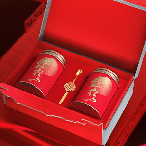T1FI新款茶叶包装盒空礼盒红茶岩茶绿茶通用铁罐半斤装空盒子