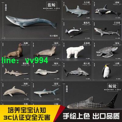 批發仿真海洋生物動物模型玩具企鵝海龜巨齒鯊大白鯊魚虎鯨海豚藍鯨