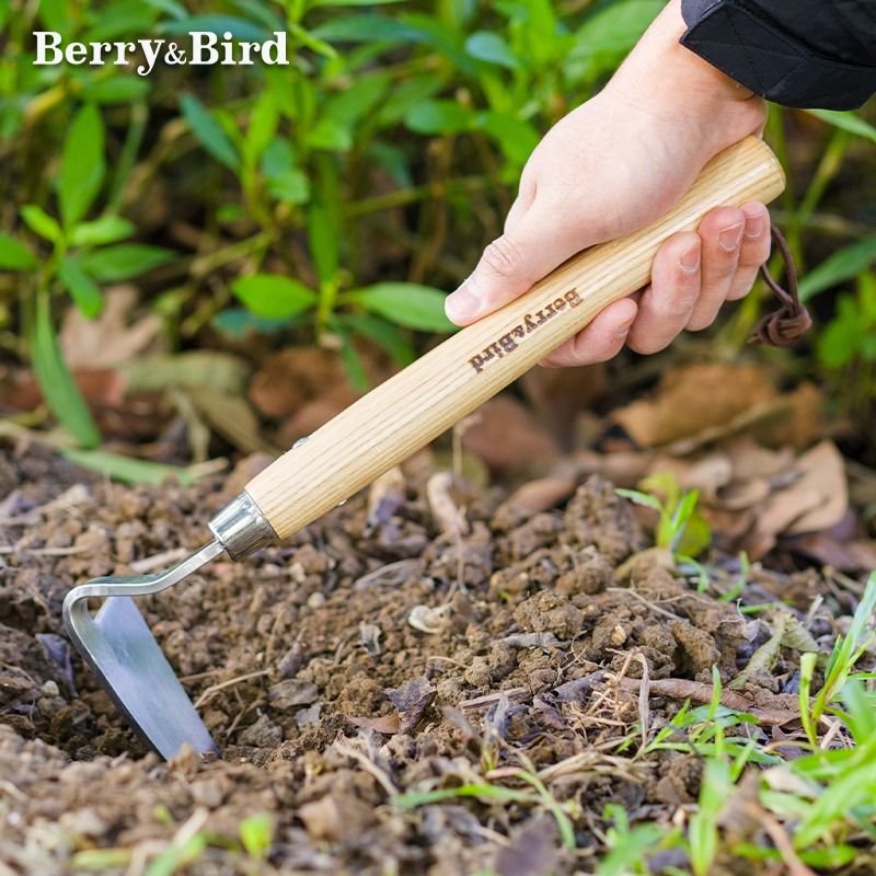 工廠現貨 Berry&Bird不銹鋼鋤頭小型手持便攜鋤頭家用種菜養花除草園藝工具487-LPS 保售後 臺灣公司