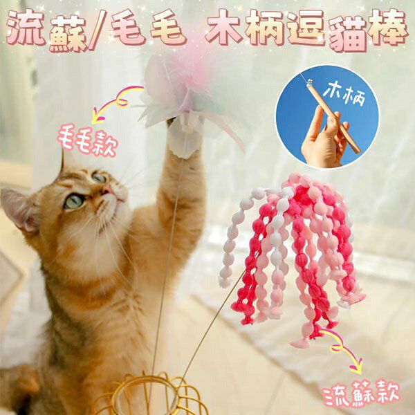 『台灣x現貨秒出』流蘇/毛毛 木柄逗貓棒 貓咪玩具 逗貓玩具 貓玩具 寵物玩具 逗喵 貓貓玩具
