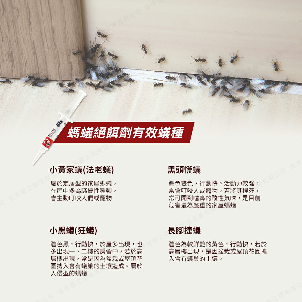 輕鬆點螞蟻絕-5gX5支 (除蟻專用) 專品藥局【2015762】 4