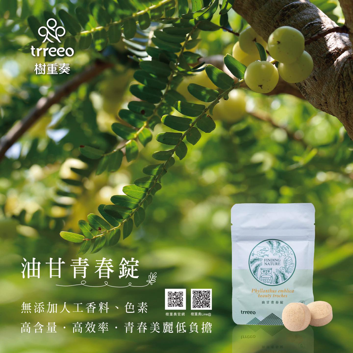 樹重奏 油甘青春錠 500mg*30錠