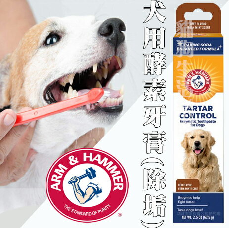 ARM&HAMMER 鐵鎚牌-易齒趣 犬用酵素牙膏(除垢) 67.5g