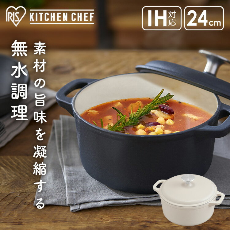 日本公司貨 新款 IRIS OHYAMA 鑄鐵鍋 CTP-24 24cm 雙耳 湯鍋 燉鍋 無水鍋 附蓋 電磁爐可用 可放烤箱