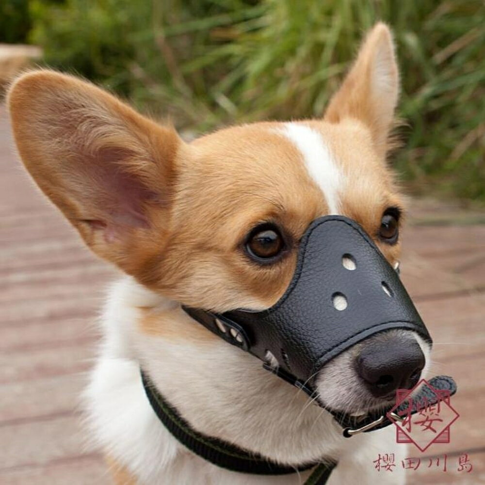 L-XL大型狗狗嘴套方式亂吠亂吃可喝水【櫻田川島】
