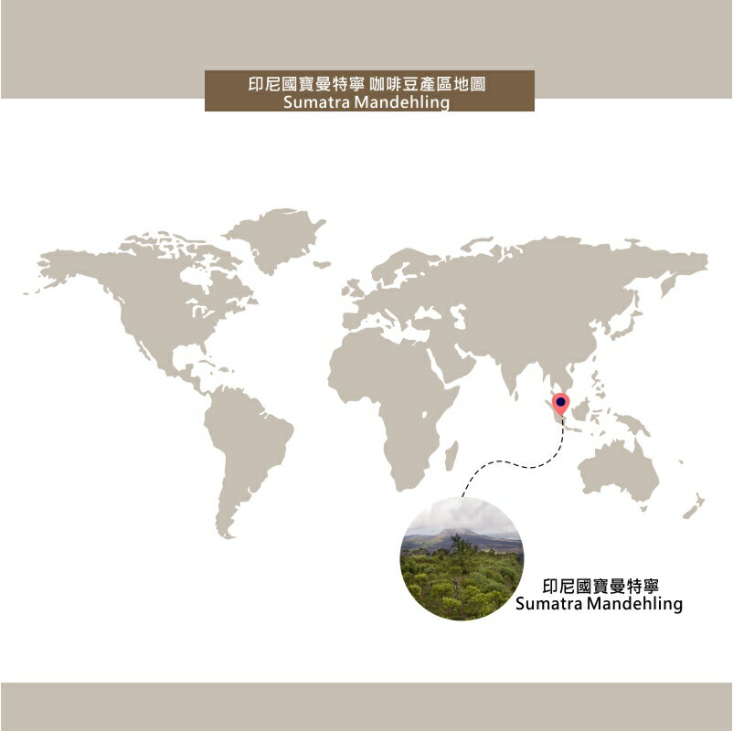 印尼經典國寶曼特寧濾掛咖啡 Sumatra Mandehling   | DALLYN世界嚴選莊園  ★滿299元超取免運 , 滿1500元店家宅配免運★ 4