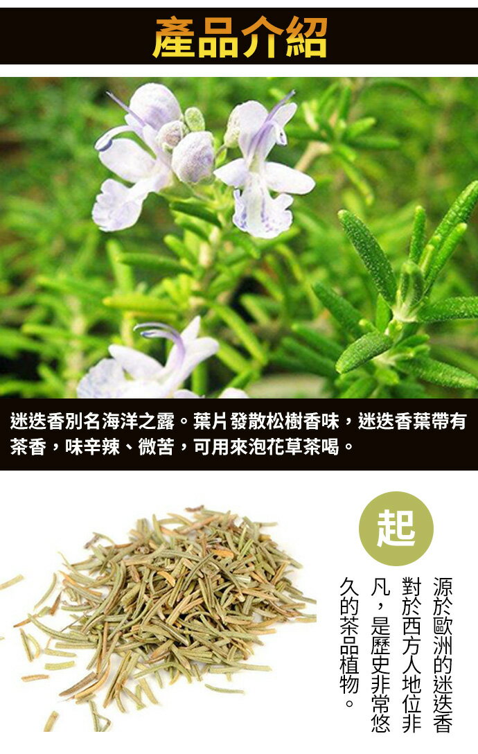 【大雪山農場】迷迭香茶X1袋(2g-20入-袋) 茶包 2024年夾鏈袋新包裝 2