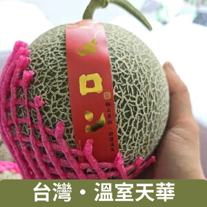 【仙菓園】台灣 溫室栽培 天華橘肉哈密瓜 兩顆裝 單顆約1.2kg 2.4kg±10%