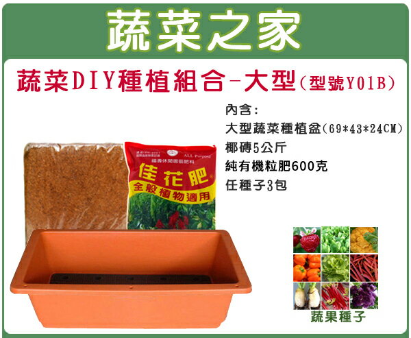 【蔬菜之家013-A08】蔬菜DIY種植組合-大型//型號Y01B