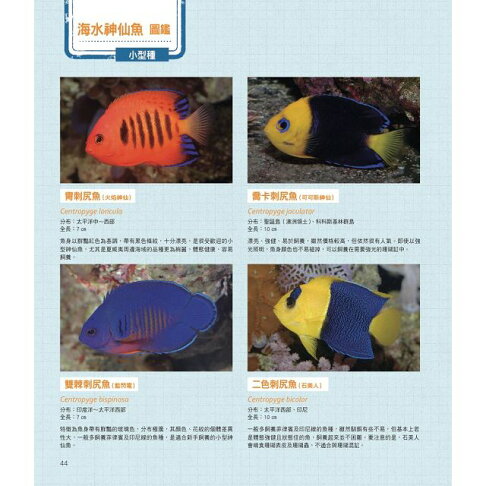 給新手的海水魚飼養指南 樂天書城 Rakuten樂天市場