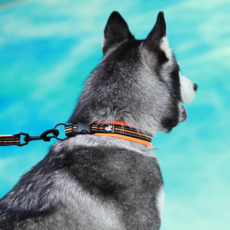狗狗項圈狗圈小型犬脖圈大型犬頸圈防勒中型泰迪寵物用品 99購物節