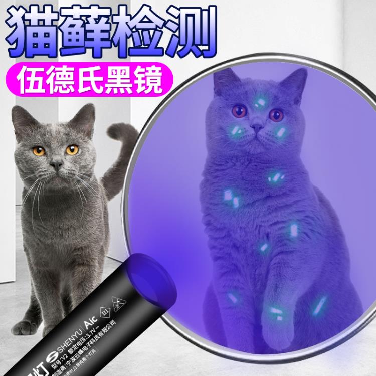 伍德氏燈照貓蘚寵物貓尿檢測手電筒紫外線熒光劑紫光家用驗鈔
