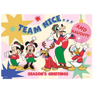 百耘圖 - Mickey Mouse&Friends米奇與好朋友(17) 108片拼圖 HPD0108-276