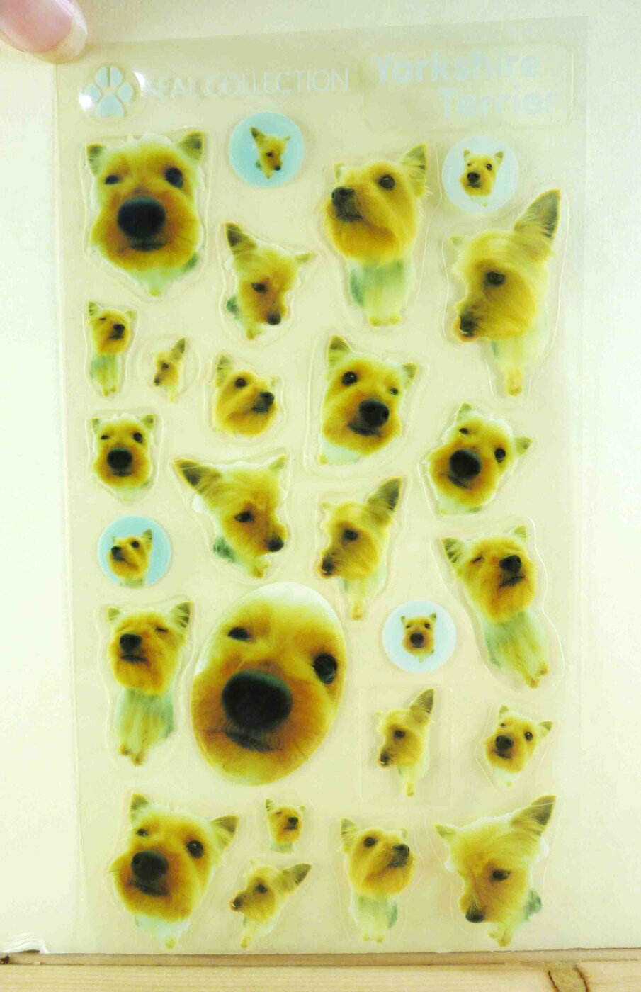 【震撼精品百貨】新大頭狗 The Dog 透明貼紙-約克夏 震撼日式精品百貨