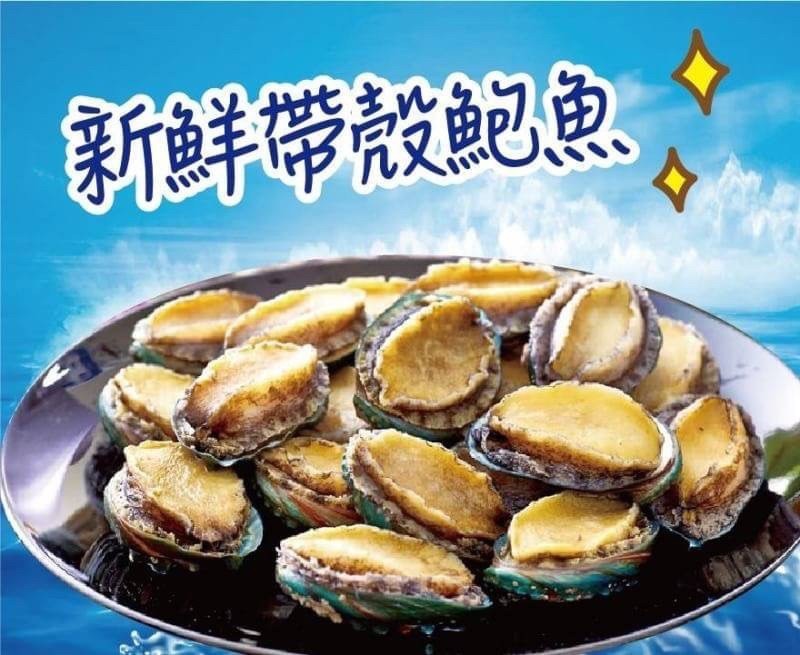【海鮮肉舖】活凍半殼鮑魚 (1KG ±10%/包)