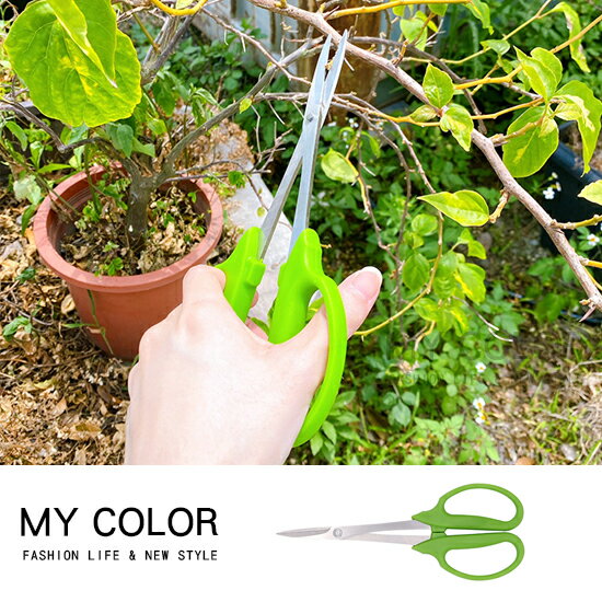 園藝剪刀 剪刀 修枝剪 牙切剪 農業剪刀 植栽剪刀 樹枝剪刀  直剪 葉芽剪 不銹鋼 不鏽鋼 果樹剪 粗枝剪刀 園丁 盆栽 盆景工具 加長型 植物修枝剪♚MY COLOR♚【J140】