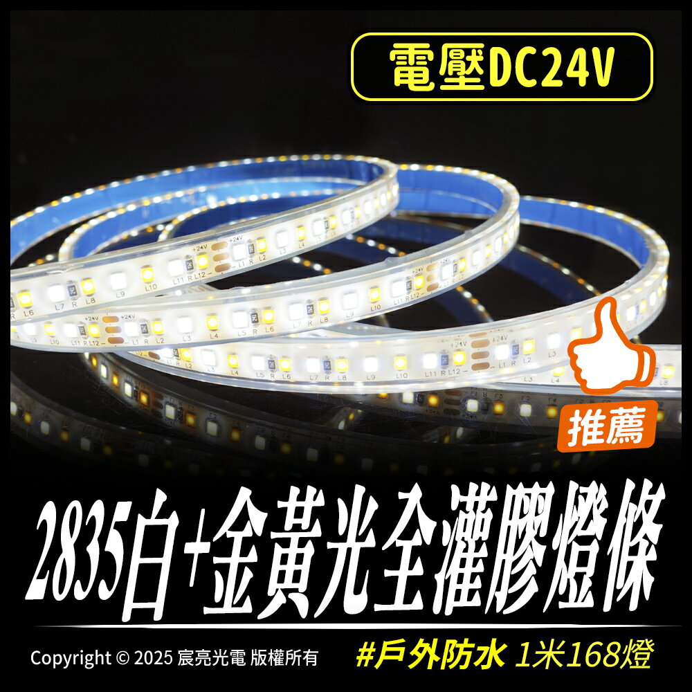2835白+金黃光全灌膠燈條 DC24V 戶外防水 白光+金黃光 2835燈條 灌膠防水 控制器
