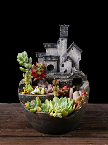 中式禪意文竹花盆造景擺件多肉植物微景觀創意室內小盆栽菖蒲盆景 文藝男女直營店 樂天市場rakuten 中式禪意文竹花盆造景擺件多肉植物微景觀創意室內小盆栽菖蒲盆景 文藝男女直營店 樂天市場rakuten