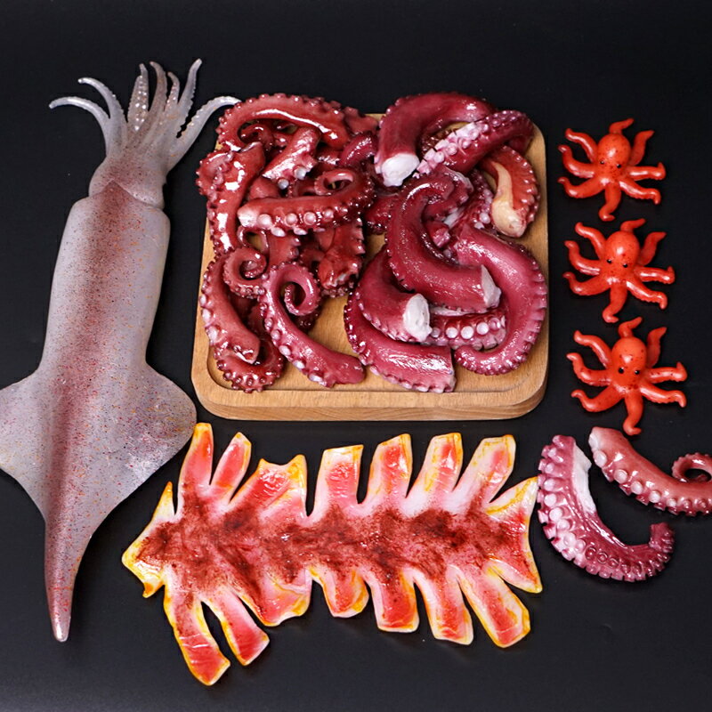【滿299出貨】模擬魷魚片食物模型海參海鮮牛肉塊塑膠魚幹PVC道具菜品裝飾攝影
