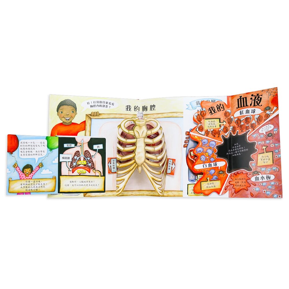 媽媽買 人體立體書 華碩文化 身體原來是這樣＋身體不可思議的祕密 3D互動機關 人體百科 親子共讀 3-8歲 3