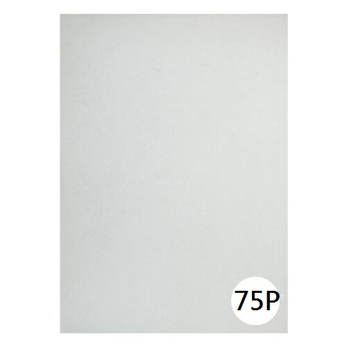 寶山牌 描圖紙 (10張入) (55g) (A4) (西德進口)