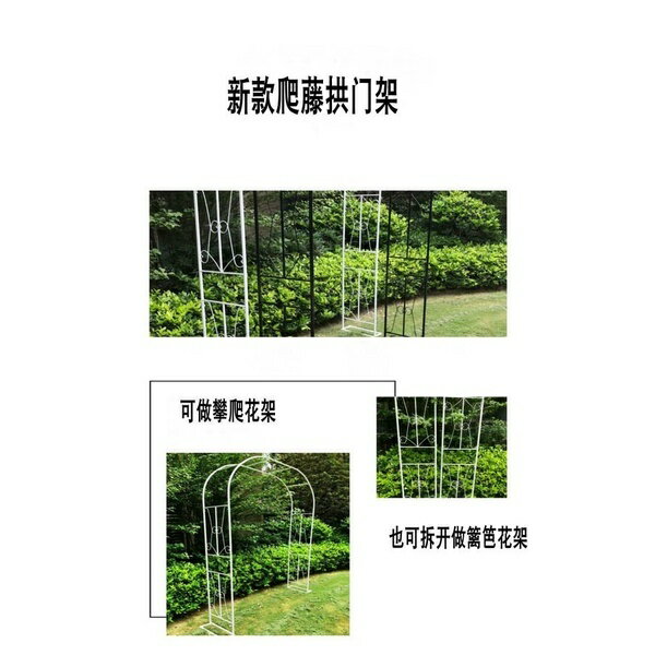 開發票 爬藤架 花支架爬藤支架花盆支架 歐式拱形花架 月季植物花支架 藤架 牽引鐵綫蓮爬藤架戶外拱門 8