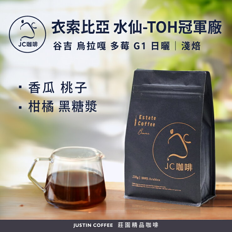 衣索比亞 谷吉 烏拉嘎 多莓 水仙 G1 日曬 - TOH冠軍廠 咖啡豆1包│淺焙【JC咖啡】半磅(230g) 莊園咖啡 新鮮烘焙