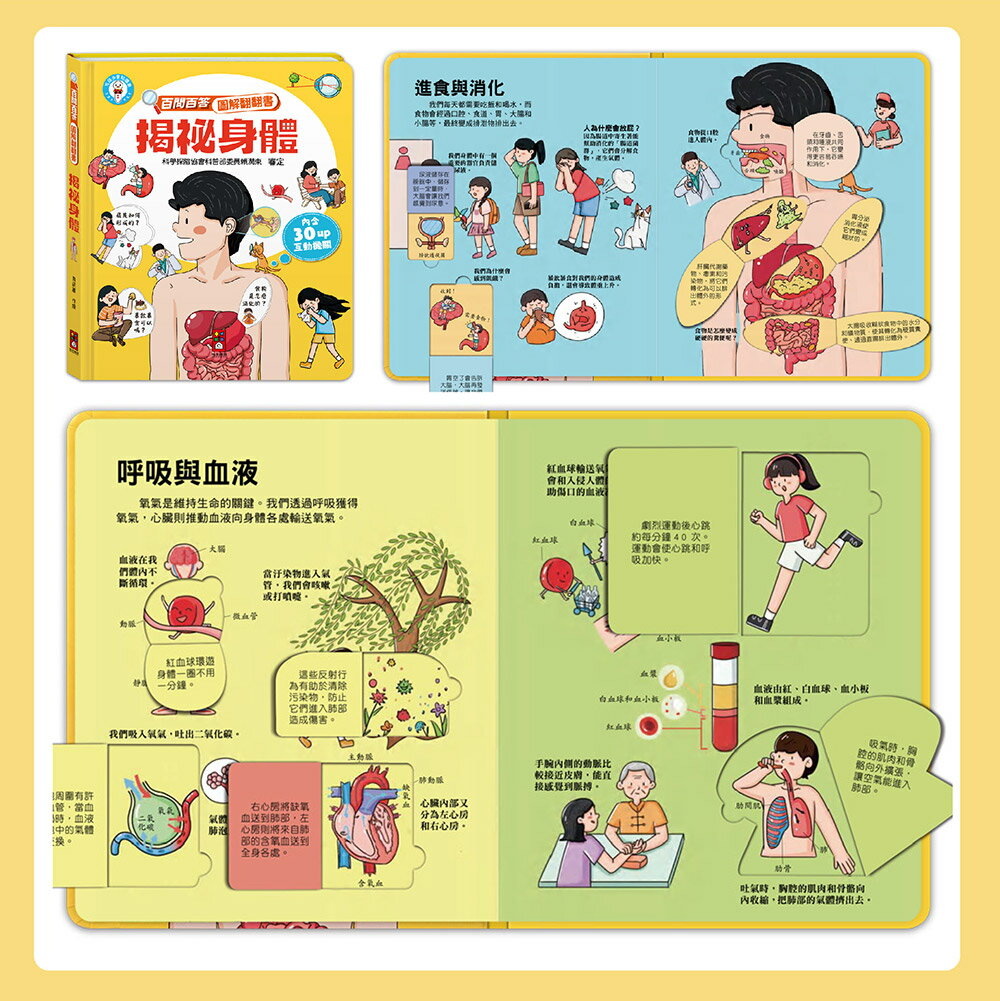 【風車圖書】百問百答圖解翻翻書(全套10冊) 9