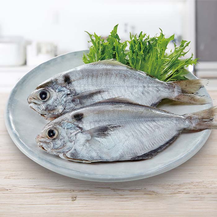野生現撈肉魚4入/350-400g(包)_AC013-2