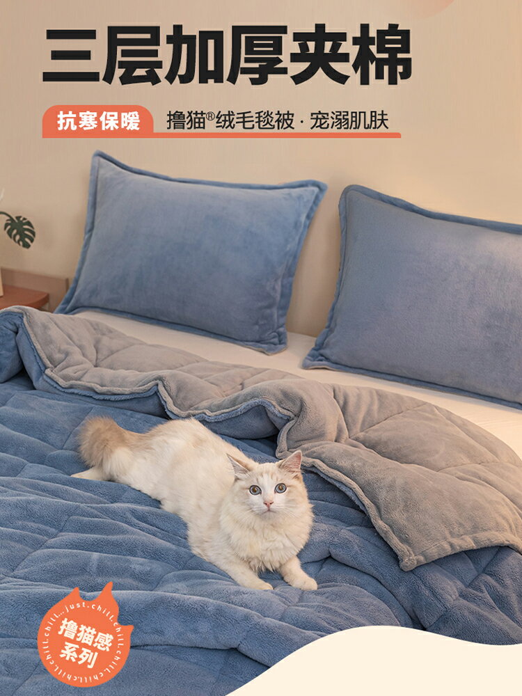 三層擼貓感牛奶絨毛毯被子加厚冬季珊瑚絨床單人保暖法蘭絨蓋毯子