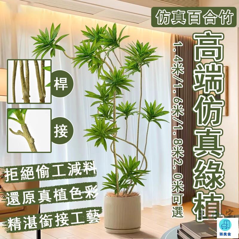 臺灣公司 工廠直銷 可開發票 【宅配免運】落地盆栽 假綠植 客廳裝飾綠植 百合竹 仿真植物盆栽 擺飾假花 裝飾盆栽 模擬綠植 仿真植物店長推薦 新品特價 5z86