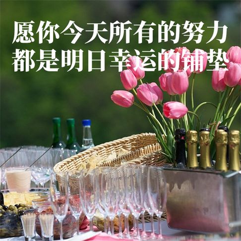 【有聲書】愿你今天所有的努力，都是明日幸运的铺垫 0