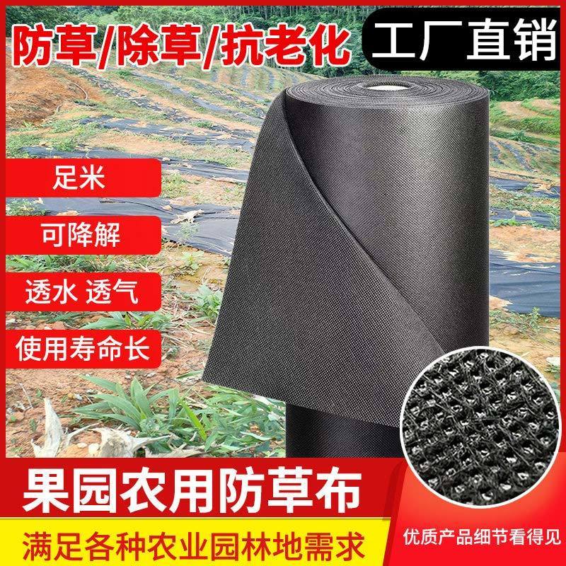 快速出貨】新型防草布除草布批發透氣透水檳榔樹果樹農用地膜蓋草布廠家