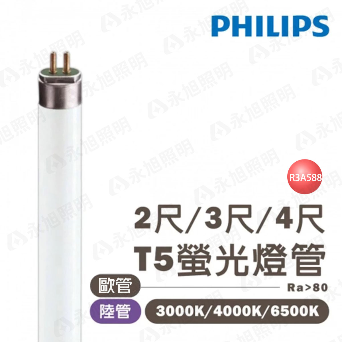 〖飛利浦〗傳統 T5 燈管 2尺/ 3尺/ 4尺 14W/ 21W /28W 陸製 普管 歐洲燈管〖永光照明〗