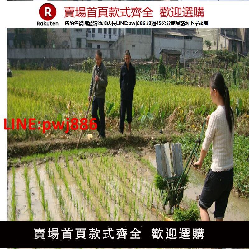 【臺灣公司 優質服務】插秧機手搖式水稻新式兩行插禾機小型插田機栽秧機農用插秧機械
