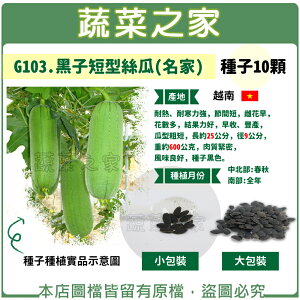 【蔬菜之家】G103.黑子短型絲瓜(名家)種子(共有2種包裝可選)
