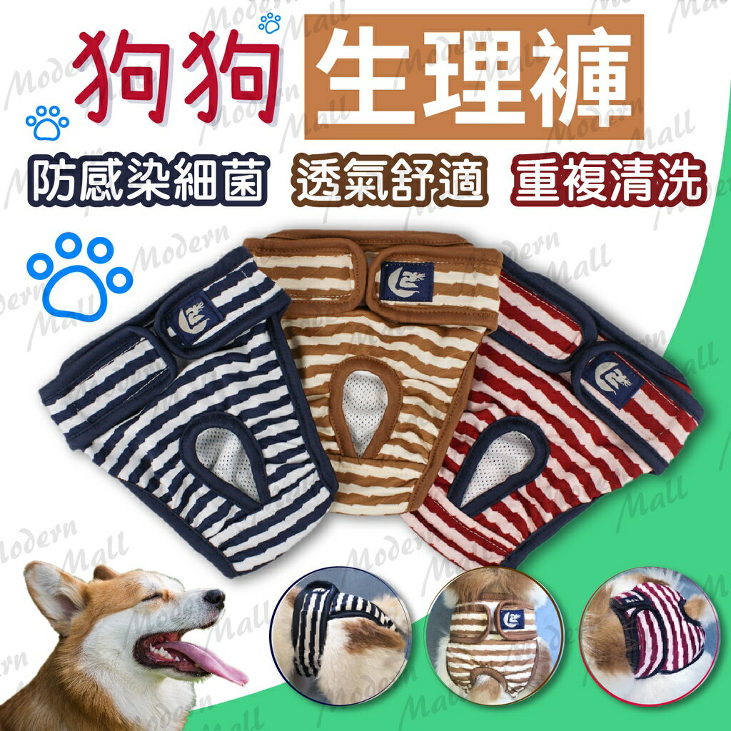 狗狗生理褲【Ｎｅｗ舒適新款 免運現貨】寵物生理褲 狗生理褲 狗內褲 寵物內褲 不外漏 可更換 防感染