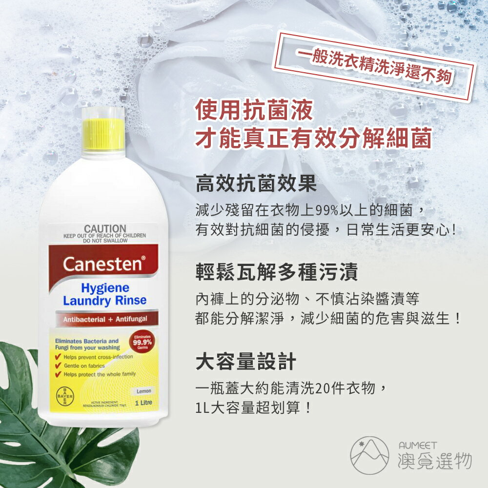 Bayer Canesten 拜耳 澳州暢銷防疫必備洗衣專用液大瓶裝1l Aumeet澳覓選物 樂天市場rakuten Bayer Canesten 拜耳 澳州暢銷防疫必備洗衣專用液大瓶裝1l Aumeet澳覓選物 樂天市場rakuten