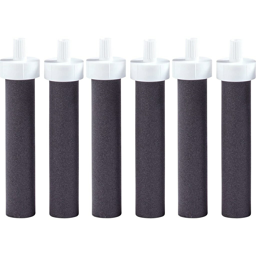 [3美國直購] Brita 原廠 隨身濾水瓶 替換濾芯 6入 黑色活性碳 濾心 濾水壺 運動隨身水壺 Bottle