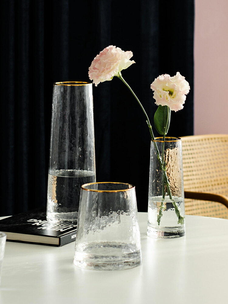 南十字星 輕奢ins金邊花瓶擺件客廳插花透明水培花器干花裝飾艾莎